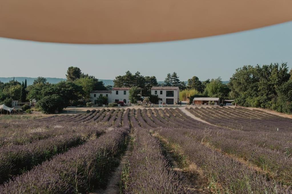 Terre Ugo - Studio Campagne Aixoise #6 Aix-en-Provence Eksteriør bilde