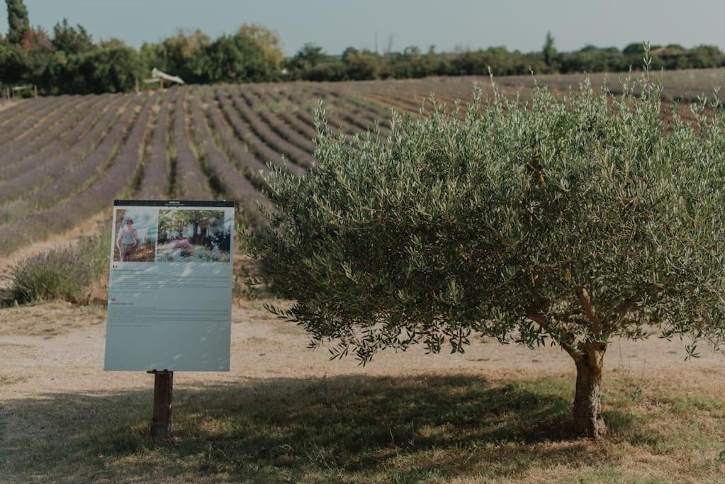 Terre Ugo - Studio Campagne Aixoise #6 Aix-en-Provence Eksteriør bilde
